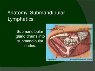 Anatomy: Submandibular
Lymphatics

   Submandibular
   gland drains into
    submandibular
        nodes.
 