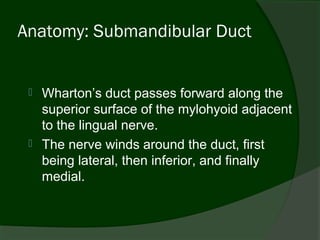 Anatomy: Submandibular Duct


    Wharton’s duct passes forward along the
     superior surface of the mylohyoid adjacent
     to the lingual nerve.
    The nerve winds around the duct, first
     being lateral, then inferior, and finally
     medial.
 