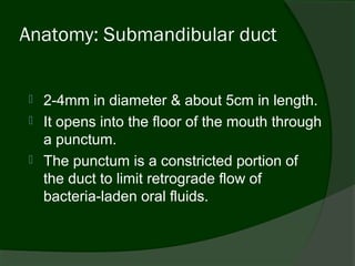 Anatomy: Submandibular duct


   2-4mm in diameter & about 5cm in length.
   It opens into the floor of the mouth through
    a punctum.
   The punctum is a constricted portion of
    the duct to limit retrograde flow of
    bacteria-laden oral fluids.
 