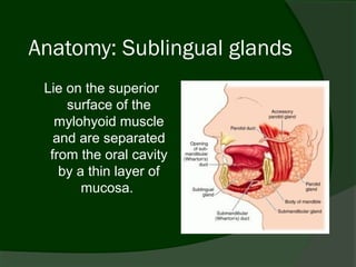 Anatomy: Sublingual glands
 Lie on the superior
     surface of the
   mylohyoid muscle
   and are separated
  from the oral cavity
    by a thin layer of
        mucosa.
 