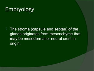 Embryology


   The stroma (capsule and septae) of the
    glands originates from mesenchyme that
    may be mesodermal or neural crest in
    origin.
 