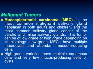 Malignant Tumors
Mucoepidermoid carcinoma (MEC) is the
most common malignant salivary gland
neoplasm in both adults and children, and the
most common salivary gland cancer of the
parotid and minor salivary glands. This tumor
can be of low grade or high grade depending on
its histology. Low-grade MECs have multiple
macrocysts and abundant mucus-producing
cells.
n  High-grade varieties have multiple squamous
cells and very few mucus-producing cells or
cysts,
n 

 