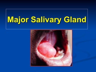 Major Salivary Gland

 
