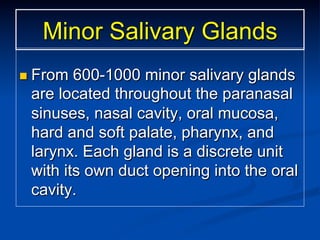 Minor Salivary Glands
n  From

600-1000 minor salivary glands
are located throughout the paranasal
sinuses, nasal cavity, oral mucosa,
hard and soft palate, pharynx, and
larynx. Each gland is a discrete unit
with its own duct opening into the oral
cavity.

 