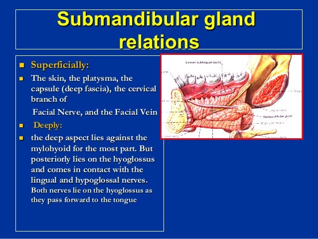 Salivary glands diseases
