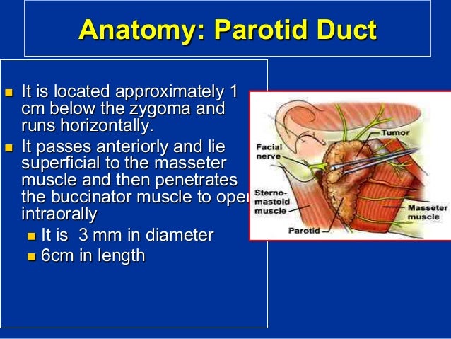 Salivary glands diseases