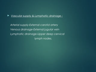  Vascular supply & Lymphatic drainage :
Arterial supply-External carotid artery
Venous drainage-External jugular vein
Lymphatic drainage-Upper deep cervical
lymph nodes.
 