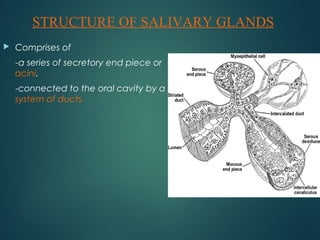  Comprises of
-a series of secretory end piece or
acini.
-connected to the oral cavity by a
system of ducts.
STRUCTURE OF SALIVARY GLANDS
 
