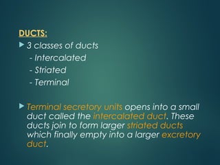 DUCTS:
 3 classes of ducts
- Intercalated
- Striated
- Terminal
 Terminal secretory units opens into a small
duct called the intercalated duct. These
ducts join to form larger striated ducts
which finally empty into a larger excretory
duct.
 