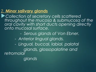 2. Minor salivary glands
Collection of secretory cells scattered
throughout the mucosa & submucosa of the
oral cavity with short ducts opening directly
onto mucosal surface.
- Serous glands of Von Ebner.
- Anterior lingual glands.
- Lingual, buccal, labial, palatal
glands, glossopalatine and
retromolar
glands
 