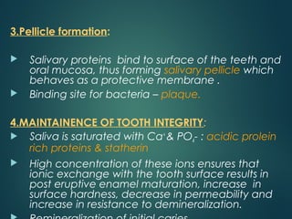 3.Pellicle formation:
 Salivary proteins bind to surface of the teeth and
oral mucosa, thus forming salivary pellicle which
behaves as a protective membrane .
 Binding site for bacteria – plaque.
4.MAINTAINENCE OF TOOTH INTEGRITY:
 Saliva is saturated with Ca+
& PO4- : acidic prolein
rich proteins & statherin
 High concentration of these ions ensures that
ionic exchange with the tooth surface results in
post eruptive enamel maturation, increase in
surface hardness, decrease in permeability and
increase in resistance to demineralization.
 