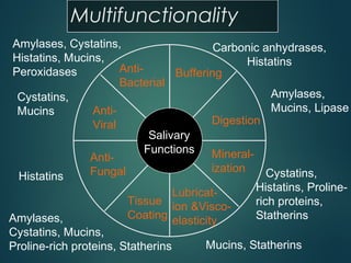 Multifunctionality
Salivary
Functions
Anti-
Bacterial
Buffering
Digestion
Mineral-
ization
Lubricat-
ion &Visco-
elasticity
Tissue
Coating
Anti-
Fungal
Anti-
Viral
Carbonic anhydrases,
Histatins
Amylases,
Mucins, Lipase
Cystatins,
Histatins, Proline-
rich proteins,
Statherins
Mucins, Statherins
Amylases,
Cystatins, Mucins,
Proline-rich proteins, Statherins
Histatins
Cystatins,
Mucins
Amylases, Cystatins,
Histatins, Mucins,
Peroxidases
 