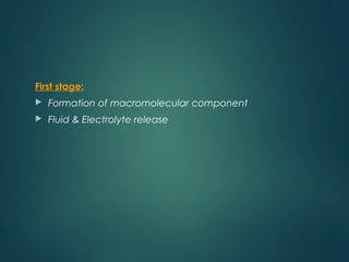 First stage:
 Formation of macromolecular component
 Fluid & Electrolyte release
 