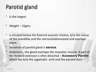 Parotid gland
• Is the largest
• Weight – 15gms
• Is situated below the External acoustic meatus, b/w the ramus
of the mandible and the sternocleidomastoid and overlaps
them.
• Secretion of parotid gland is serous.
• Anteriorly , the gland overlaps the masseter muscle. A part of
this forward extension is often detached – Accessory Parotid
which lies b/w the zygomatic arch and the parotid duct.
4/30/2015 16
 