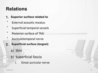 Relations
1. Superior surface related to

External acoustic meatus

Superficial temporal vessels

Posterior surface of TMJ

Auriculotemporal nerve
2. Superficial surface (largest)
a) Skin
b) Superficial fascia
i. Great auricular nerve
4/30/2015 20
 