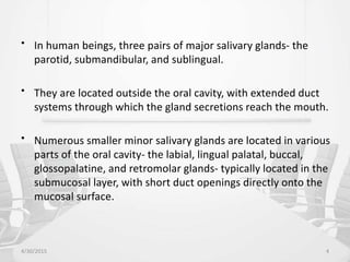 • In human beings, three pairs of major salivary glands- the
parotid, submandibular, and sublingual.
• They are located outside the oral cavity, with extended duct
systems through which the gland secretions reach the mouth.
• Numerous smaller minor salivary glands are located in various
parts of the oral cavity- the labial, lingual palatal, buccal,
glossopalatine, and retromolar glands- typically located in the
submucosal layer, with short duct openings directly onto the
mucosal surface.
4/30/2015 4
 