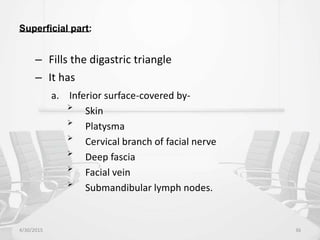 Superficial part:
– Fills the digastric triangle
– It has
a. Inferior surface-covered by-

Skin

Platysma

Cervical branch of facial nerve

Deep fascia

Facial vein

Submandibular lymph nodes.
4/30/2015 36
 