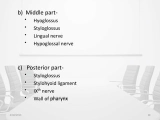 b) Middle part-
• Hyoglossus
• Styloglossus
• Lingual nerve
• Hypoglossal nerve
c) Posterior part-
• Styloglossus
• Stylohyoid ligament
• IXth
nerve
• Wall of pharynx
4/30/2015 38
 