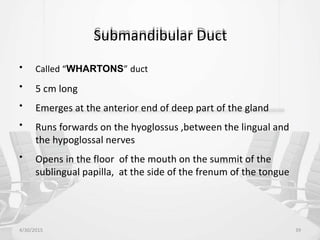Submandibular Duct
• Called “WHARTONS” duct
• 5 cm long
• Emerges at the anterior end of deep part of the gland
• Runs forwards on the hyoglossus ,between the lingual and
the hypoglossal nerves
• Opens in the floor of the mouth on the summit of the
sublingual papilla, at the side of the frenum of the tongue
4/30/2015 39
 