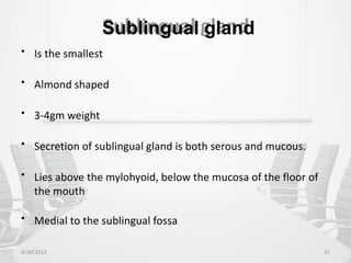 Sublingual gland
• Is the smallest
• Almond shaped
• 3-4gm weight
• Secretion of sublingual gland is both serous and mucous.
• Lies above the mylohyoid, below the mucosa of the floor of
the mouth
• Medial to the sublingual fossa
4/30/2015 42
 