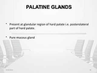 PALATINE GLANDS
• Present at glandular region of hard palate i.e. posterolateral
part of hard palate.
• Pure mucous gland
4/30/2015 48
 