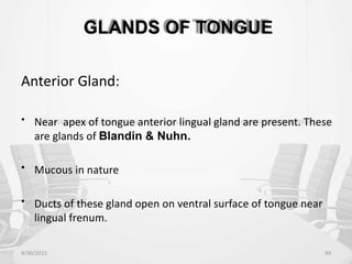 GLANDS OF TONGUE
Anterior Gland:
• Near apex of tongue anterior lingual gland are present. These
are glands of Blandin & Nuhn.
• Mucous in nature
• Ducts of these gland open on ventral surface of tongue near
lingual frenum.
4/30/2015 49
 