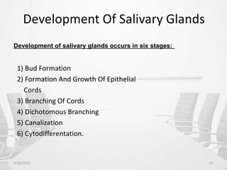 Development Of Salivary Glands
Development of salivary glands occurs in six stages:
1) Bud Formation
2) Formation And Growth Of Epithelial
Cords
3) Branching Of Cords
4) Dichotomous Branching
5) Canalization
6) Cytodifferentation.
4/30/2015 51
 