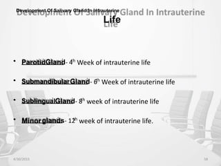 Development Of Salivary Gland In Intrauterine
Life
• ParotidGland- 4
th
Week of intrauterine life
• SubmandibularGland- 6
th
Week of intrauterine life
• SublingualGland- 8
th
week of intrauterine life
• Minorglands- 12
th
week of intrauterine life.
4/30/2015 58
 