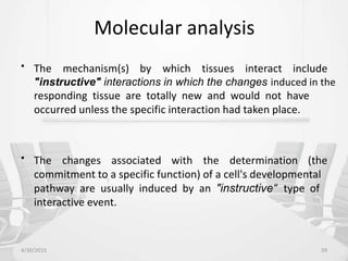 Molecular analysis
• The mechanism(s) by which tissues interact include
"instructive" interactions in which the changes induced in the
responding tissue are totally new and would not have
occurred unless the specific interaction had taken place.
• The changes associated with the determination (the
commitment to a specific function) of a cell's developmental
pathway are usually induced by an "instructive“ type of
interactive event.
4/30/2015 59
 