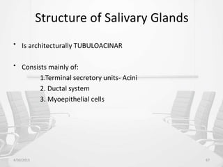 Structure of Salivary Glands
• Is architecturally TUBULOACINAR
• Consists mainly of:
1.Terminal secretory units- Acini
2. Ductal system
3. Myoepithelial cells
4/30/2015 67
 