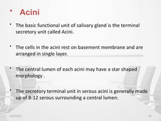 • Acini
• The basic functional unit of salivary gland is the terminal
secretory unit called Acini.
• The cells in the acini rest on basement membrane and are
arranged in single layer.
• The central lumen of each acini may have a star shaped
morphology .
• The secretory terminal unit in serous acini is generally made
up of 8-12 serous surrounding a central lumen.
4/30/2015 69
 