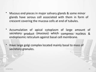 • Mucous end pieces in major salivary glands & some minor
glands have serous cell associated with them in form of
crescent covering the mucosa cells at end of tubules.
• Accumulation of
product
apical cytoplasm of large
compress
amount
nucleus
of
&
secretory (mucous) which
endoplasmic reticulum against basal cell membrane.
• Have large golgi complex located mainly basal to mass of
secretory granules.
4/30/2015 79
 