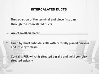 INTERCALATED DUCTS
– The secretion of the terminal end piece first pass
through the intercalated ducts.
– Are of small diameter
– Lined by short cuboidal cells with centrally placed nucleus
and little cytoplasm
– Contains RER which is situated basally and golgi complex
situated apically
4/30/2015 83
 