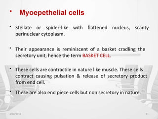 • Myoepethelial cells
• Stellate or spider-like
perinuclear cytoplasm.
with flattened nucleus, scanty
• Their appearance is reminiscent of a basket cradling the
secretory unit, hence the term BASKET CELL.
• These cells are contractile in nature like muscle. These cells
contract causing pulsation & release of secretory product
from end cell.
• These are also end piece cells but non secretory in nature.
4/30/2015 91
 