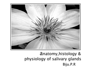 anatomy,histology &
physiology of salivary glands
Biju.P.R
 