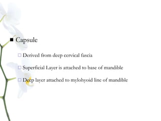  Capsule
 Derived from deep cervical fascia
 Superficial Layer is attached to base of mandible
 Deep layer attached to mylohyoid line of mandible
 