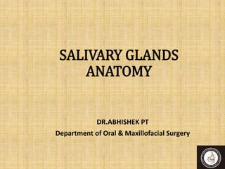 Salivary glands anatomy applied aspects 140608050047-phpapp01 | PPTX