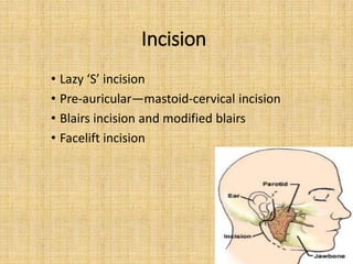 Salivary glands anatomy applied aspects 140608050047-phpapp01 | PPTX