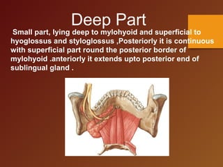 Deep Part
Small part, lying deep to mylohyoid and superficial to
hyoglossus and styloglossus ,Posteriorly it is continuous
with superficial part round the posterior border of
mylohyoid .anteriorly it extends upto posterior end of
sublingual gland .
 