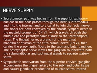 NERVE SUPPLY
• Secretomotor pathway begins from the superior salivatory
nucleus in the pons passes through the nervus intermedius
and into the internal auditory canal to join the facial nerve.
The fibers are next conveyed by the chorda tympani nerve in
the mastoid segment of CN VII, which travels through the
middle ear and petrotympanic fissure to the infratemporal
fossa. The lingual nerve, a branch of the marginal
mandibular division of the fifth cranial nerve (CN V), then
carries the presynaptic fibers to the submandibular ganglion.
The postsynaptic nerve leaves the ganglion to innervate both
the submandibular and sublingual glands to secrete watery
saliva.
• Sympathetic innervation from the superior cervical ganglion
accompanies the lingual artery to the submandibular tissue
and causes glandular production of mucoid saliva instead
 