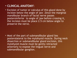 • CLINICAL ANATOMY:
• Excision of tumor or calculus of this gland done by
incision below the angle of jaw .Since the marginal
mandibular branch of facial nerve passes
posteroinferior to angle of jaw before crossing it,
the incision must be place 2.5 cm below angle to
preserve the nerve.
• Most of the part of submandibular gland lies
posterolateral to the mylohyoid muscle. During neck
dissection or submandibular gland excision, this
mylohyoid muscle must be gently retracted
anteriorly to expose the lingual nerve and
submandibular ganglion.
 