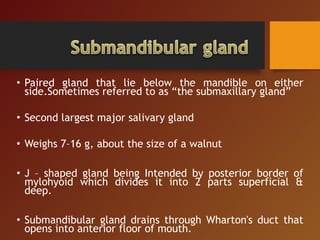 • Paired gland that lie below the mandible on either
side.Sometimes referred to as “the submaxillary gland”
• Second largest major salivary gland
• Weighs 7–16 g, about the size of a walnut
• J – shaped gland being Intended by posterior border of
mylohyoid which divides it into 2 parts superficial &
deep.
• Submandibular gland drains through Wharton's duct that
opens into anterior floor of mouth.
 