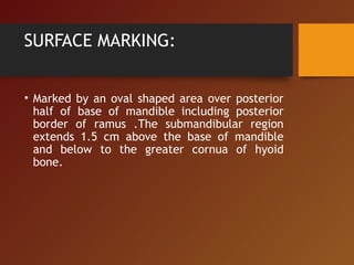SURFACE MARKING:
• Marked by an oval shaped area over posterior
half of base of mandible including posterior
border of ramus .The submandibular region
extends 1.5 cm above the base of mandible
and below to the greater cornua of hyoid
bone.
 