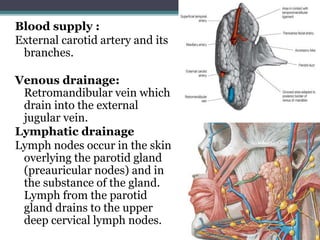 Blood supply :
External carotid artery and its
branches.
Venous drainage:
Retromandibular vein which
drain into the external
jugular vein.
Lymphatic drainage
Lymph nodes occur in the skin
overlying the parotid gland
(preauricular nodes) and in
the substance of the gland.
Lymph from the parotid
gland drains to the upper
deep cervical lymph nodes.
24
 
