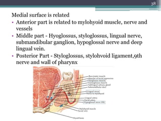 Medial surface is related
• Anterior part is related to mylohyoid muscle, nerve and
vessels
• Middle part - Hyoglossus, styloglossus, lingual nerve,
submandibular ganglion, hypoglossal nerve and deep
lingual vein.
• Posterior Part - Styloglossus, stylohvoid ligament,9th
nerve and wall of pharynx
38
 