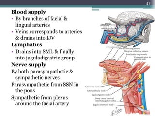 Blood supply
• By branches of facial &
lingual arteries
• Veins corresponds to arteries
& drains into IJV
Lymphatics
• Drains into SML & finally
into jugulodigastric group
Nerve supply
By both parasympathetic &
sympathetic nerves
Parasympathetic from SSN in
the pons
Sympathetic from plexus
around the facial artery
41
 