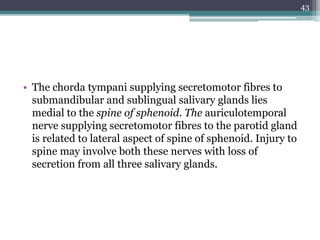 • The chorda tympani supplying secretomotor fibres to
submandibular and sublingual salivary glands lies
medial to the spine of sphenoid. The auriculotemporal
nerve supplying secretomotor fibres to the parotid gland
is related to lateral aspect of spine of sphenoid. Injury to
spine may involve both these nerves with loss of
secretion from all three salivary glands.
43
 