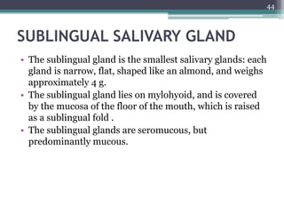SUBLINGUAL SALIVARY GLAND
• The sublingual gland is the smallest salivary glands: each
gland is narrow, flat, shaped like an almond, and weighs
approximately 4 g.
• The sublingual gland lies on mylohyoid, and is covered
by the mucosa of the floor of the mouth, which is raised
as a sublingual fold .
• The sublingual glands are seromucous, but
predominantly mucous.
44
 