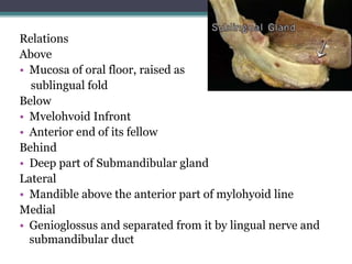 Relations
Above
• Mucosa of oral floor, raised as
sublingual fold
Below
• Mvelohvoid Infront
• Anterior end of its fellow
Behind
• Deep part of Submandibular gland
Lateral
• Mandible above the anterior part of mylohyoid line
Medial
• Genioglossus and separated from it by lingual nerve and
submandibular duct
45
 