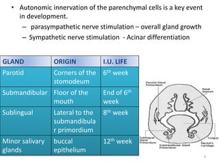 • Autonomic innervation of the parenchymal cells is a key event
in development.
– parasympathetic nerve stimulation – overall gland growth
– Sympathetic nerve stimulation - Acinar differentiation
6
GLAND ORIGIN I.U. LIFE
Parotid Corners of the
stomodeum
6th week
Submandibular Floor of the
mouth
End of 6th
week
Sublingual Lateral to the
submandibula
r primordium
8th week
Minor salivary
glands
buccal
epithelium
12th week
 